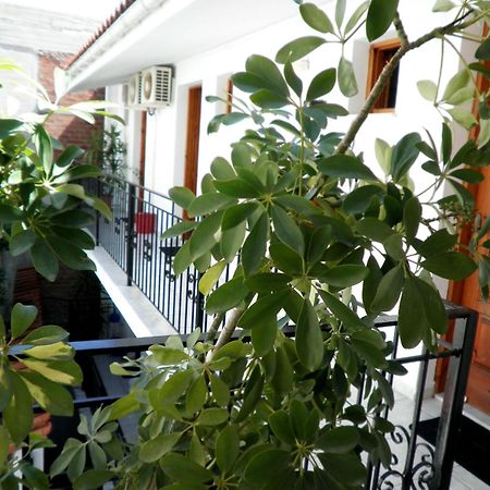 Mimoza Studios Скиатос Екстериор снимка