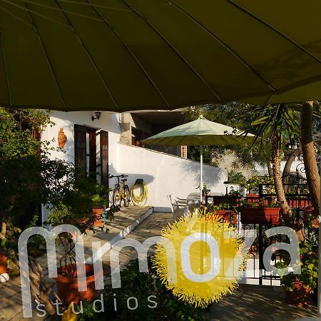 Mimoza Studios Скиатос Екстериор снимка